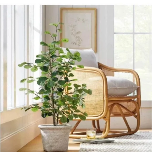 NWT Faux Ficus Tree - Threshold designed with Studio McGee - Picture 3 of 12